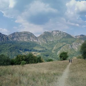 Boots-on-roots-landscape
