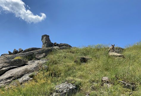 trekking-si-camping-in-Macin-1