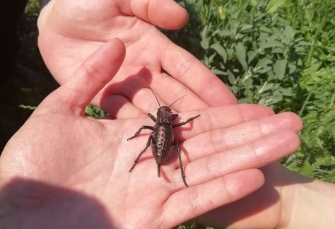 trekking-si-camping-in-Macin-5