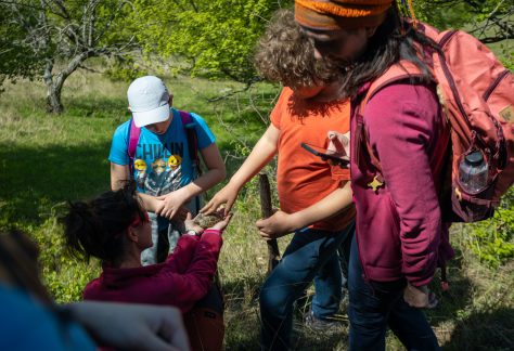 Măcin Family Camp 3