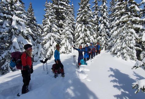 barcaciu-scara-fagaras