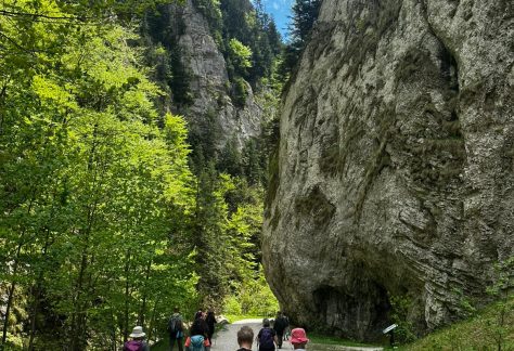 cheile-gorges-zarnesti