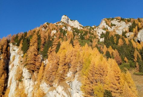 toamna-autumn-peisaj