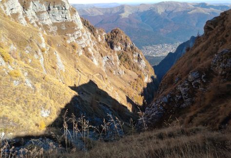 toamna-jepii mici-autumn